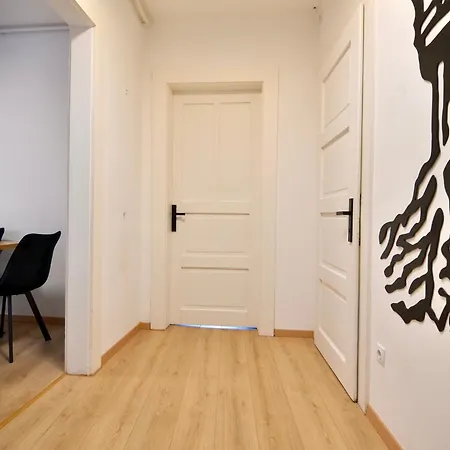 Luxurious & Spacious Residence In The Heart Of Braşov Extérieur photo