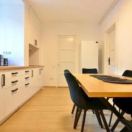 Luxurious & Spacious Residence In The Heart Of Braşov Extérieur photo