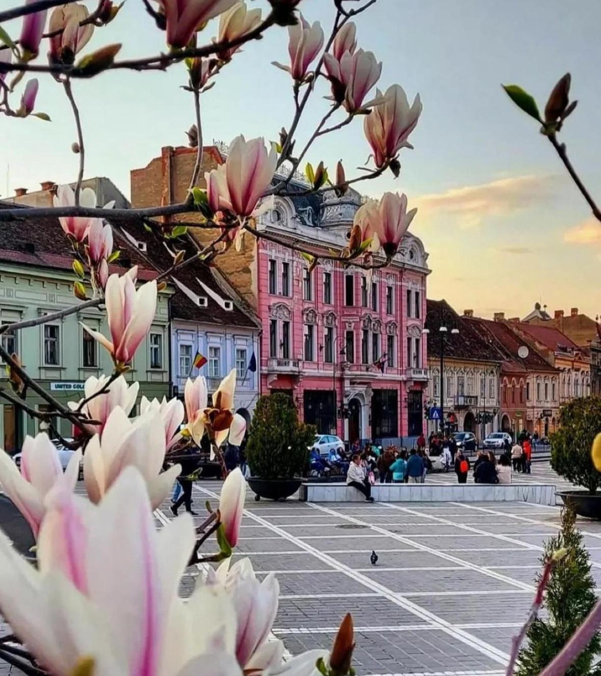 Luxurious & Spacious In The Heart Of Braşov